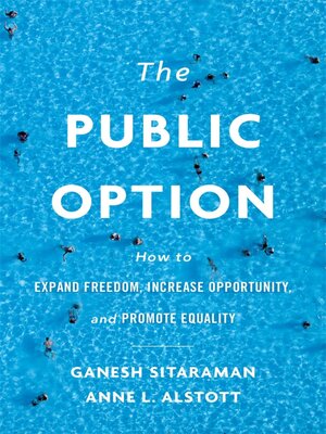 cover image of The Public Option